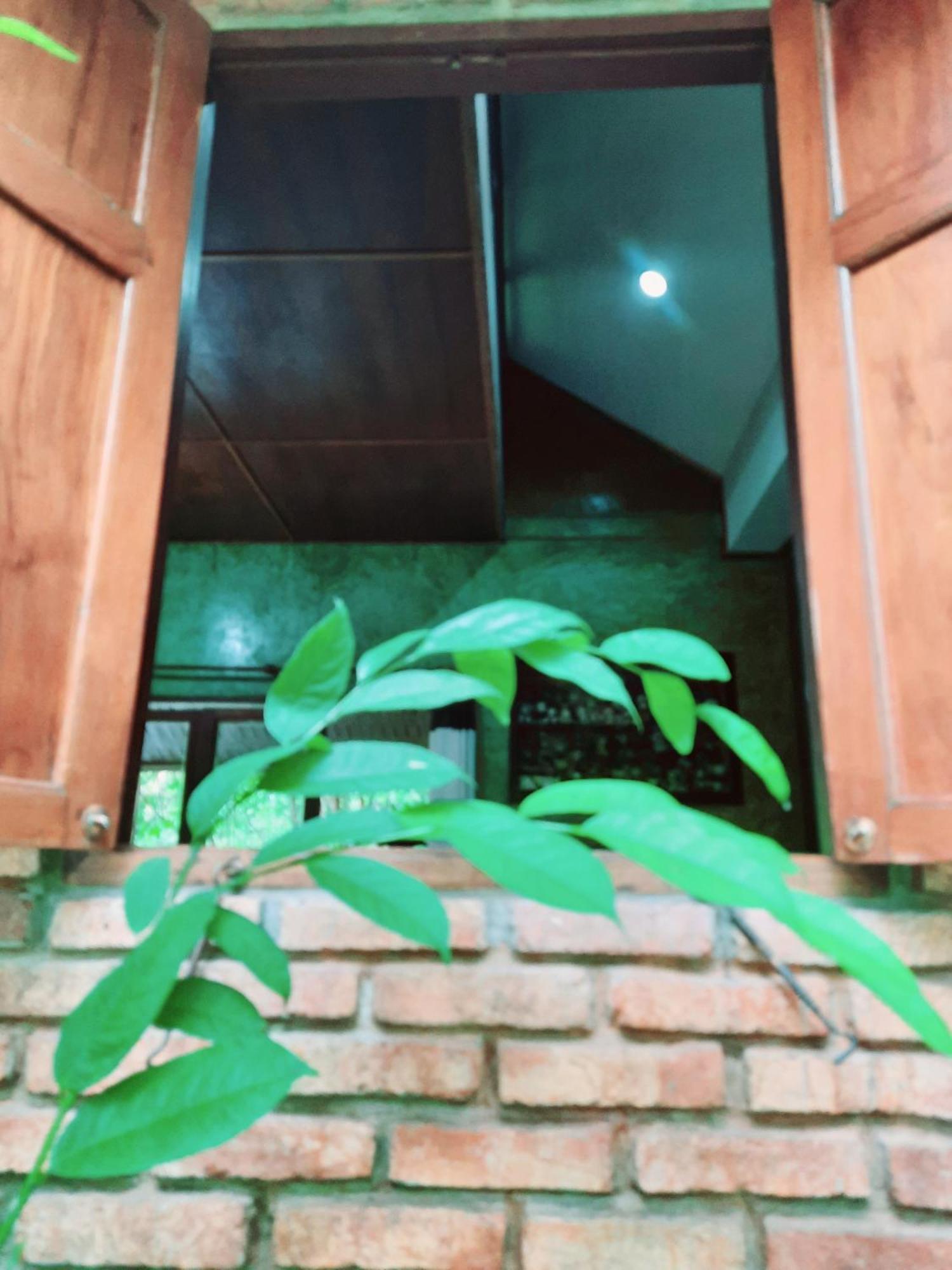Tuaprodhome 카오락 객실 사진